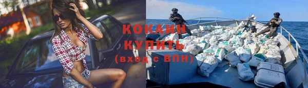 ГАЛЛЮЦИНОГЕННЫЕ ГРИБЫ Михайлов
