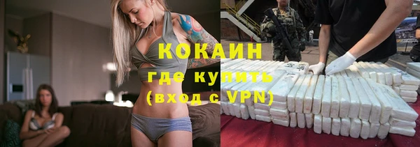 ГАЛЛЮЦИНОГЕННЫЕ ГРИБЫ Михайлов