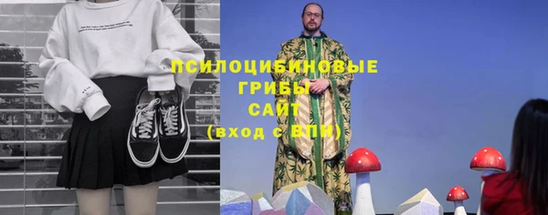 ГАЛЛЮЦИНОГЕННЫЕ ГРИБЫ Михайлов