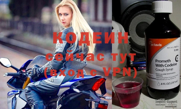 ГАЛЛЮЦИНОГЕННЫЕ ГРИБЫ Михайлов
