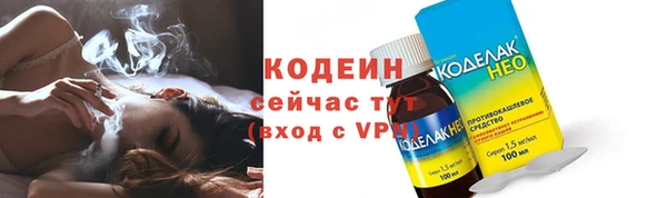 ГАЛЛЮЦИНОГЕННЫЕ ГРИБЫ Михайлов