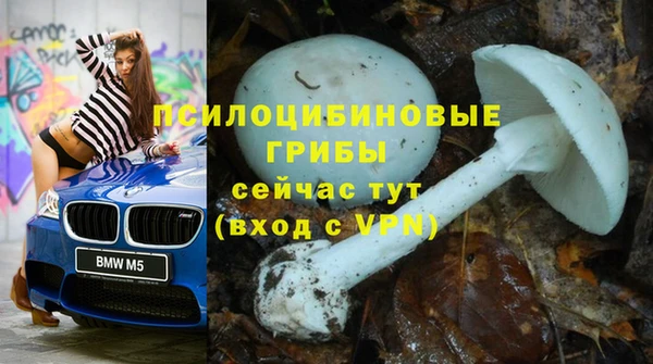 ГАЛЛЮЦИНОГЕННЫЕ ГРИБЫ Михайлов