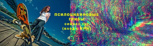 ГАЛЛЮЦИНОГЕННЫЕ ГРИБЫ Михайлов