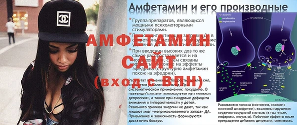 ГАЛЛЮЦИНОГЕННЫЕ ГРИБЫ Михайлов
