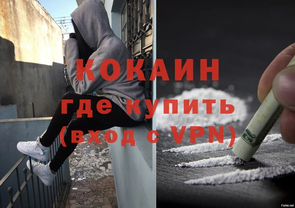 ГАЛЛЮЦИНОГЕННЫЕ ГРИБЫ Михайлов