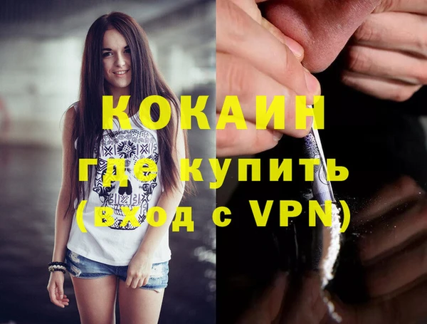 ГАЛЛЮЦИНОГЕННЫЕ ГРИБЫ Михайлов