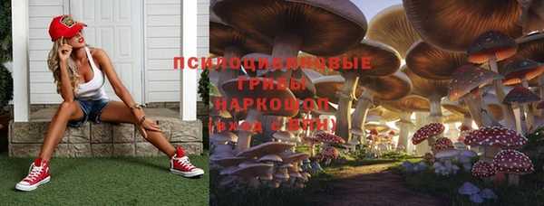 ГАЛЛЮЦИНОГЕННЫЕ ГРИБЫ Михайлов