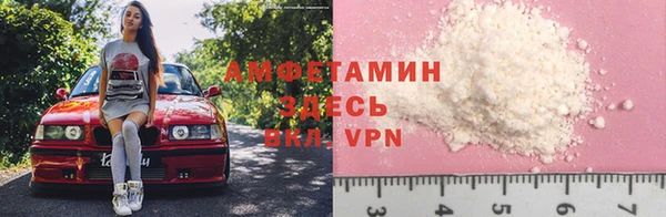 ГАЛЛЮЦИНОГЕННЫЕ ГРИБЫ Михайлов