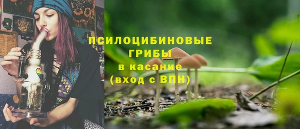 ГАЛЛЮЦИНОГЕННЫЕ ГРИБЫ Михайлов