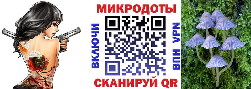 продажа наркотиков  OMG tor  Галлюциногенные грибы мухоморы  Северо-Курильск 
